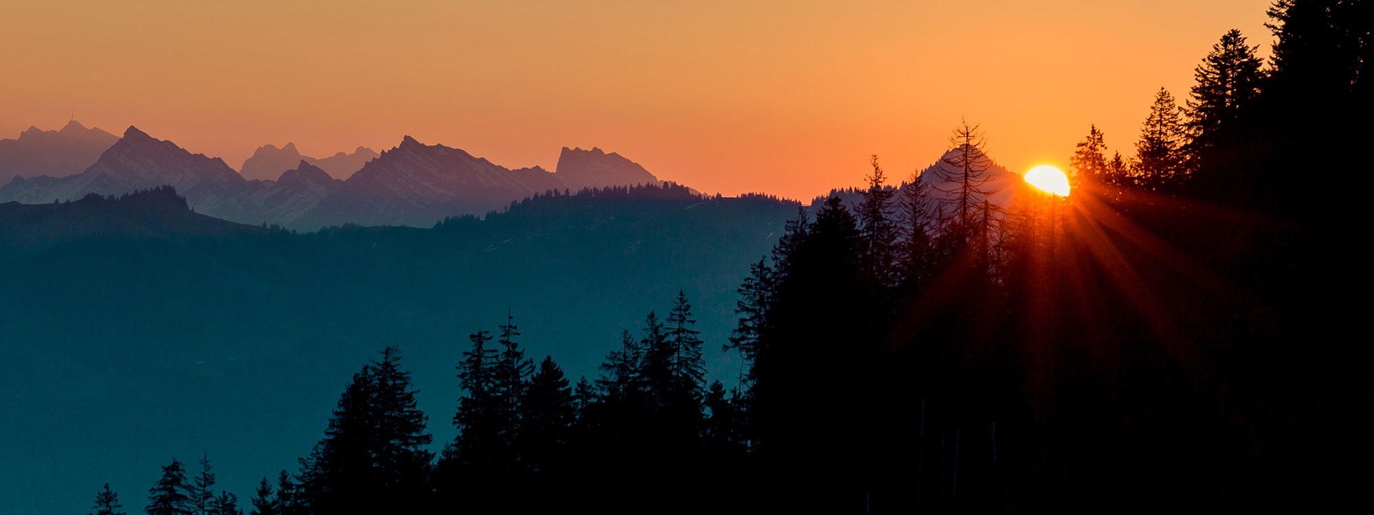 Sun going down behind pine trees near mountain under a sunset